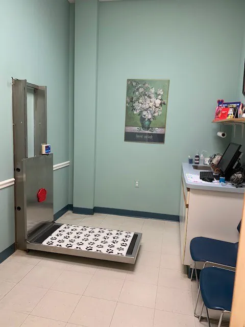 Franklin Farm Veterinary Clinic Picture 2