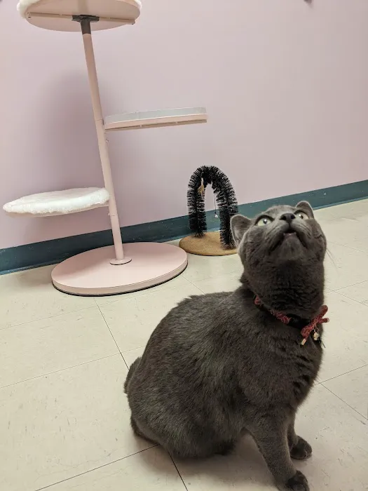 Franklin Farm Veterinary Clinic Picture 1