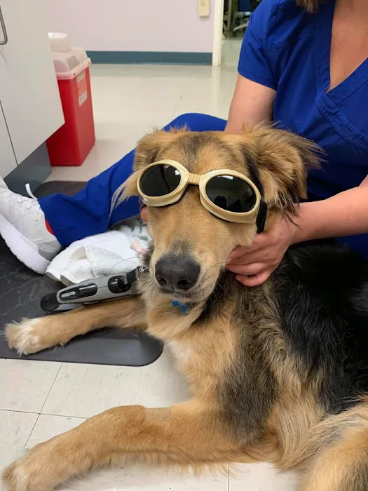Franklin Farm Veterinary Clinic Picture 4
