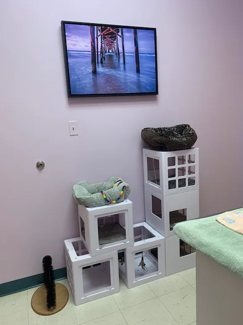 Franklin Farm Veterinary Clinic Picture 6