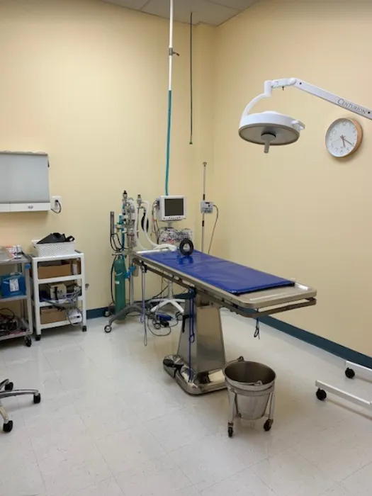 Franklin Farm Veterinary Clinic Picture 8