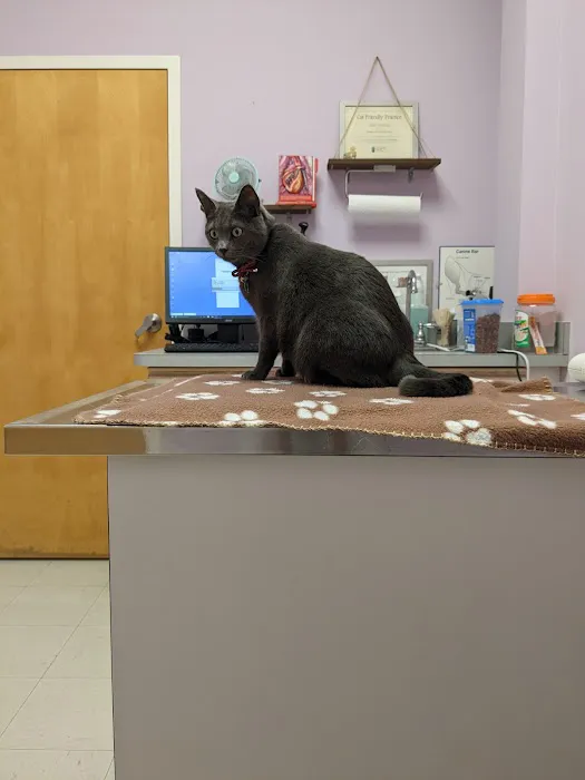 Franklin Farm Veterinary Clinic Picture 3