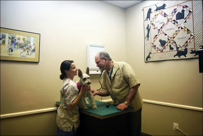 Countryside Animal Clinic Picture 7