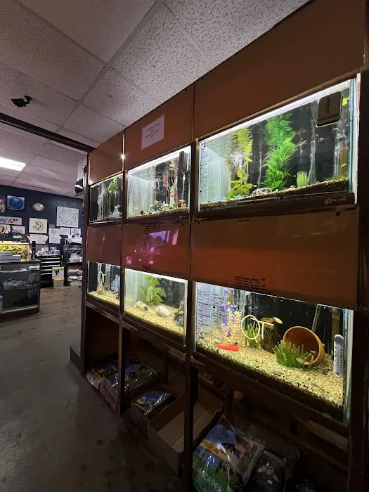 Aquarium- Tropical Fish & Supply, Inc Picture 2
