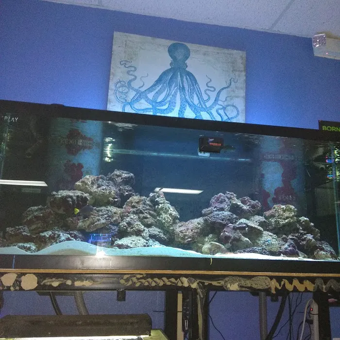 Aquarium- Tropical Fish & Supply, Inc Picture 4