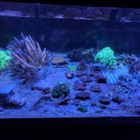 Aquarium- Tropical Fish & Supply, Inc ico