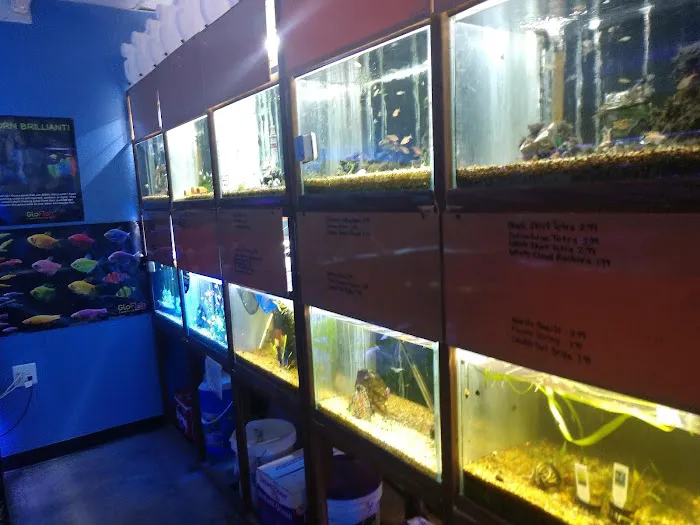Aquarium- Tropical Fish & Supply, Inc Picture 5