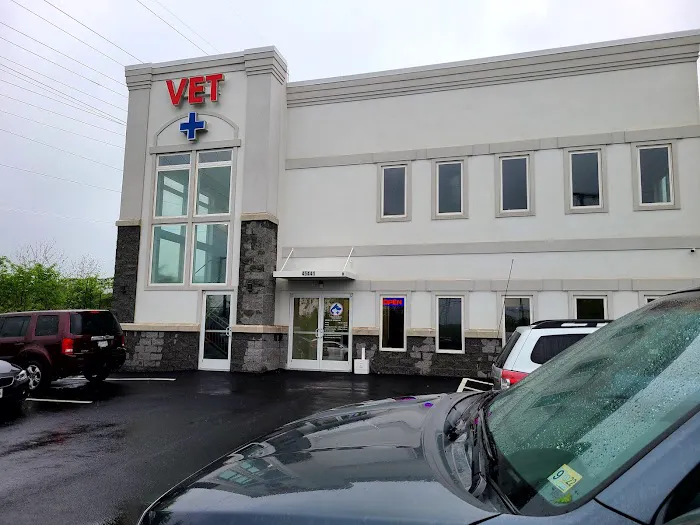 Church Road Animal Hospital Picture 8