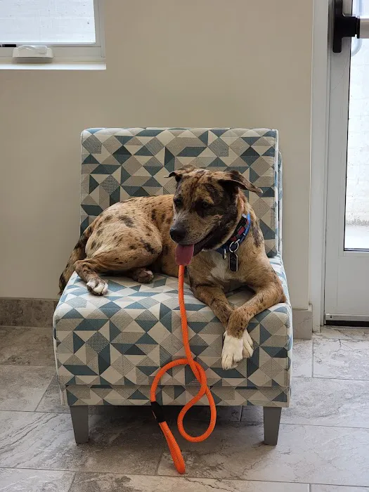 Church Road Animal Hospital Picture 4