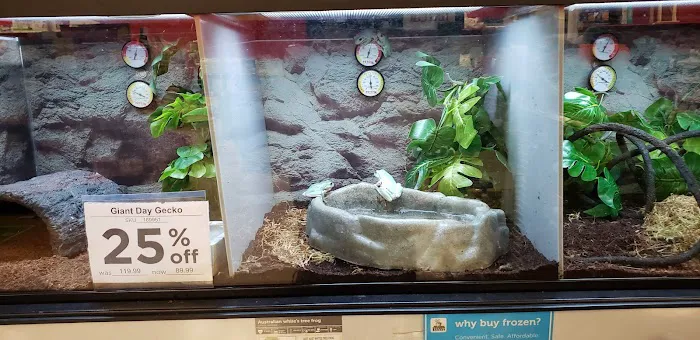 Petco Picture 6