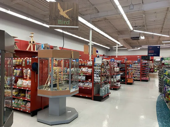 Petco Picture 8