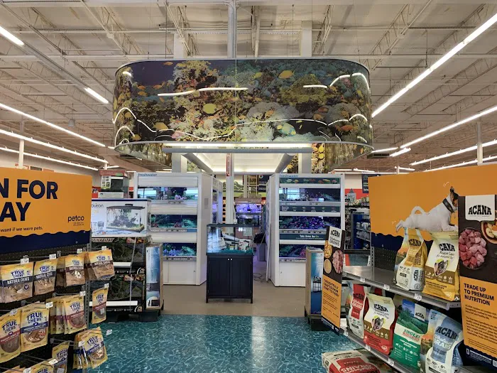 Petco Picture 9