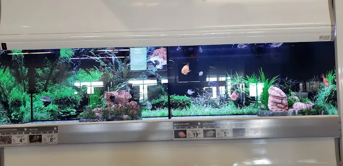 Petco Picture 3