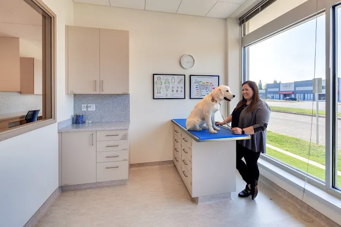 Mainstay Veterinary Practice Picture 8