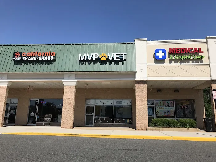 Mainstay Veterinary Practice Picture 2