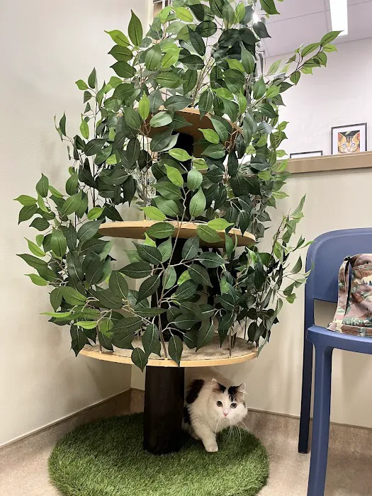 Mainstay Veterinary Practice Picture 5