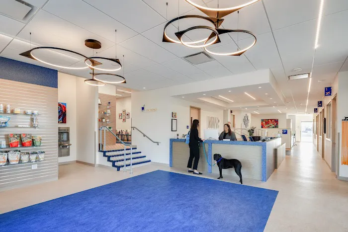 Mainstay Veterinary Practice Picture 1