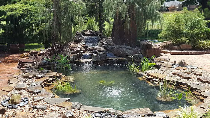 Crosstimber Koi of Edmond, LLC Picture 8