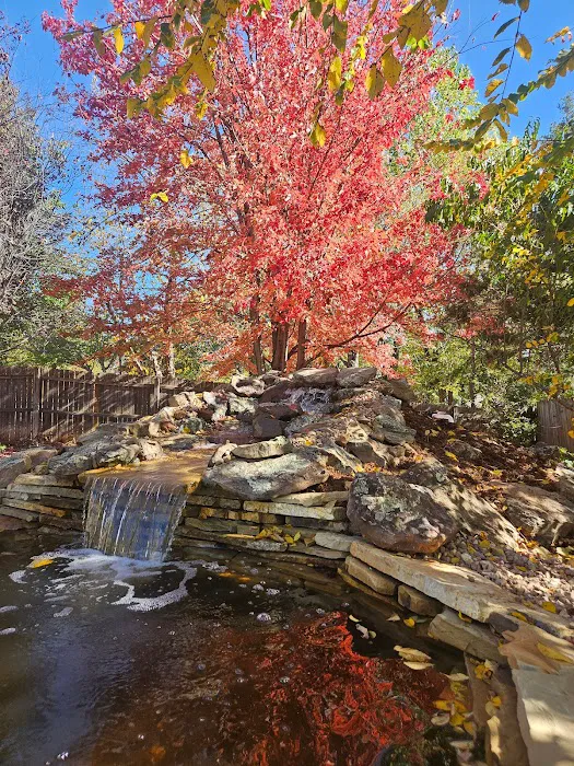 Crosstimber Koi of Edmond, LLC Picture 2