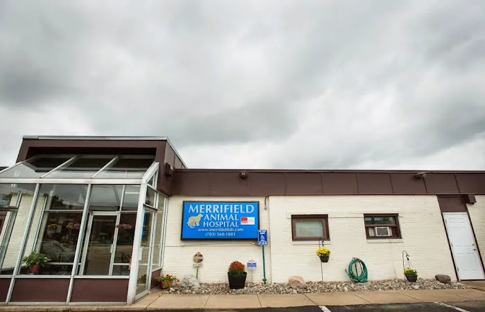 Merrifield Animal Hospital Picture 1