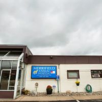 Merrifield Animal Hospital ico