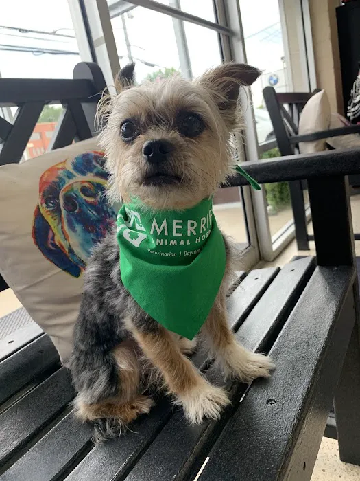Merrifield Animal Hospital Picture 8