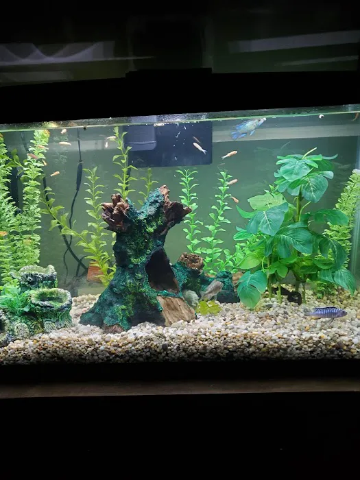 Pet Supplies Plus Edmond (Kickingbird Picture 8