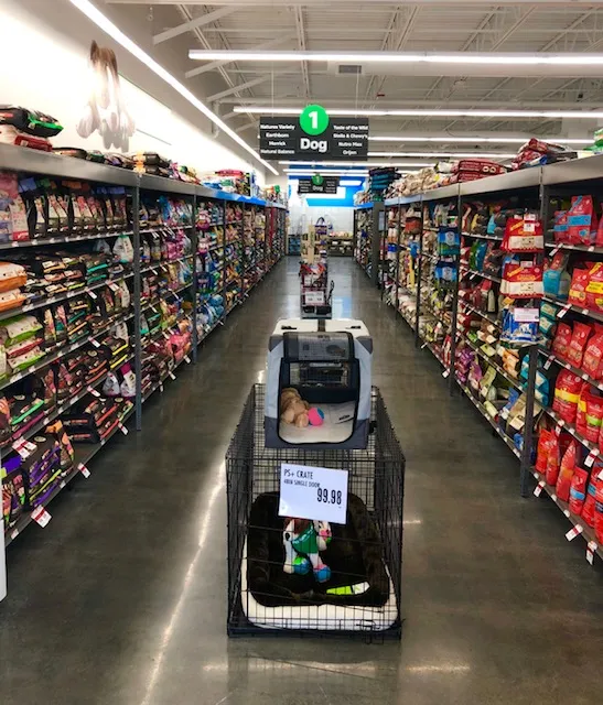 Pet Supplies Plus Edmond (Kickingbird Picture 10