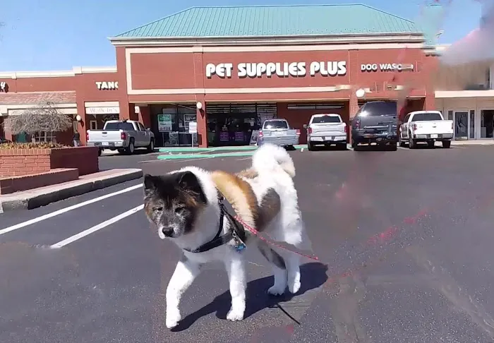 Pet Supplies Plus Edmond (Kickingbird Picture 1