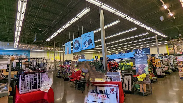 Petco Picture 1