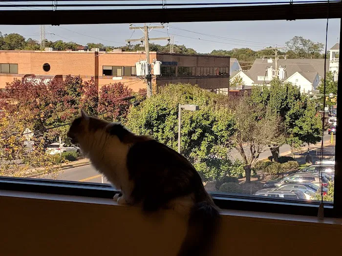 Hope Advanced Veterinary Center Picture 5