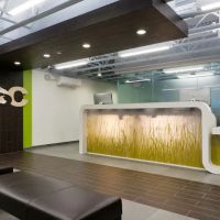 Veterinary Surgical Centers ico