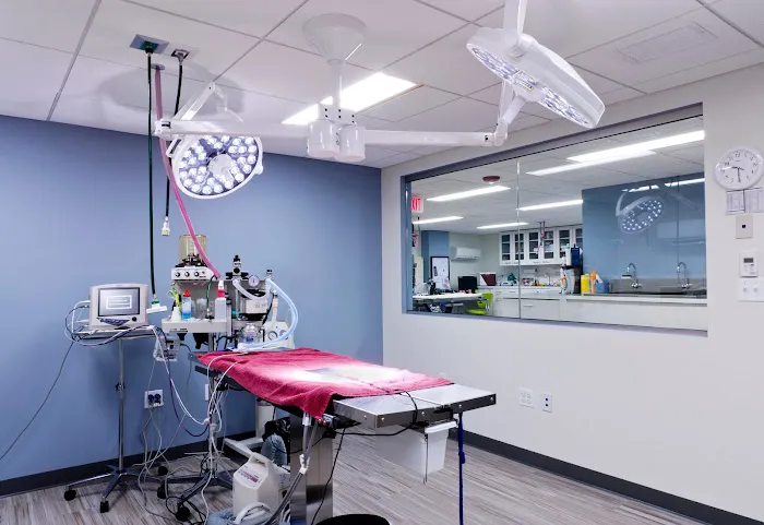 Veterinary Surgical Centers Picture 3