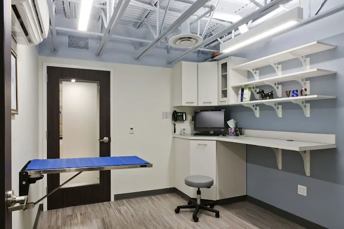 Veterinary Surgical Centers Picture 10