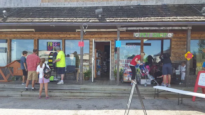 Pet Lovers Pet Shop and Grooming Picture 3