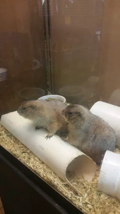 Pet Lovers Pet Shop and Grooming Picture 4
