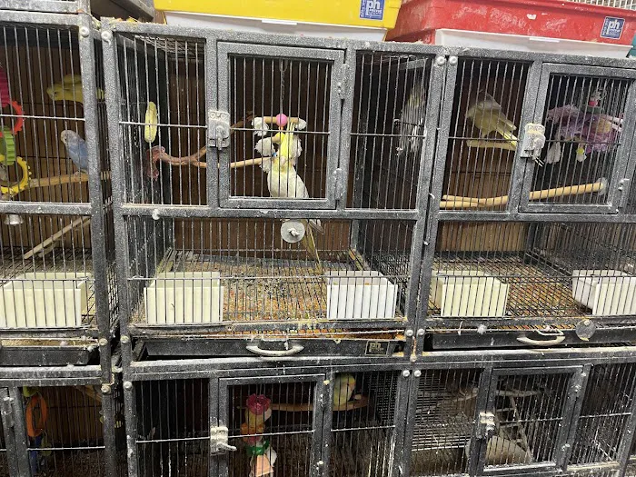 Pet Lovers Pet Shop and Grooming Picture 7