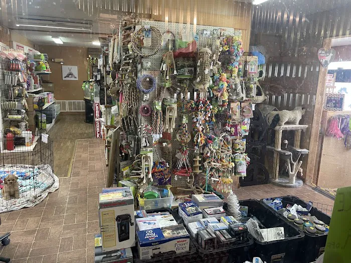 Pet Lovers Pet Shop and Grooming Picture 5