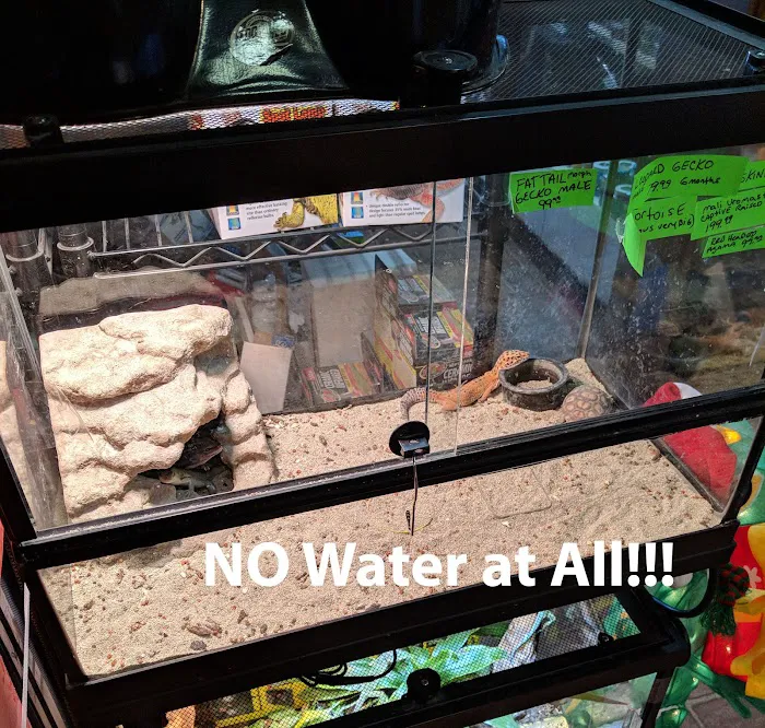 Pet Lovers Pet Shop and Grooming Picture 10