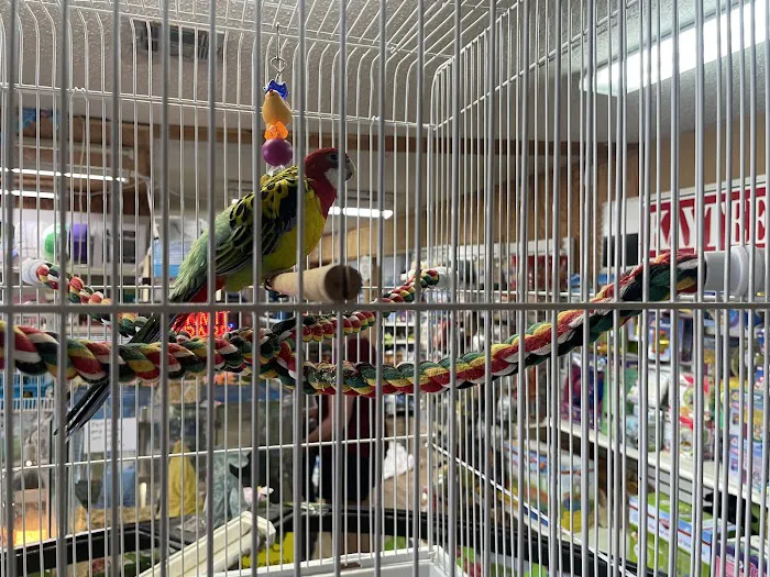 Pet Lovers Pet Shop and Grooming Picture 6