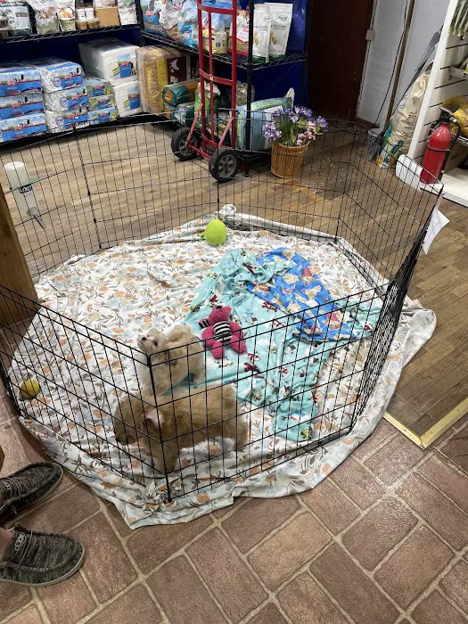 Pet Lovers Pet Shop and Grooming Picture 8
