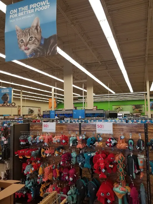 Petco Picture 2