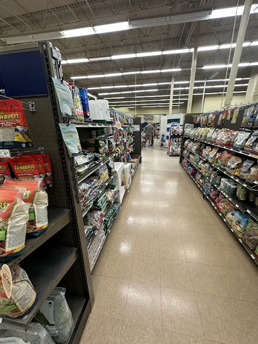Petco Picture 6