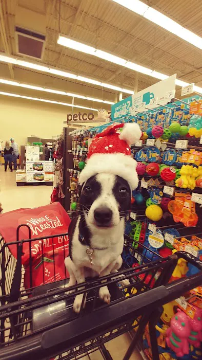 Petco Picture 3