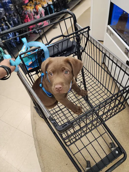 Petco Picture 9