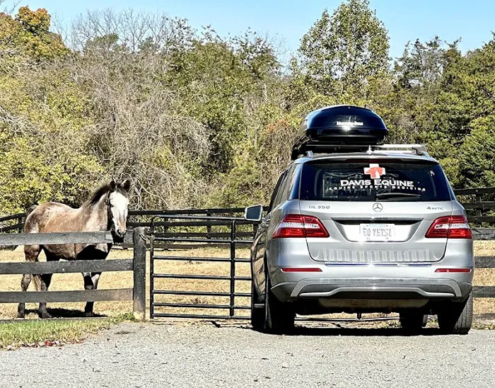 Davis Equine Picture 1
