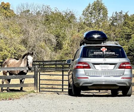 Davis Equine