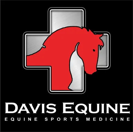 Davis Equine Picture 3