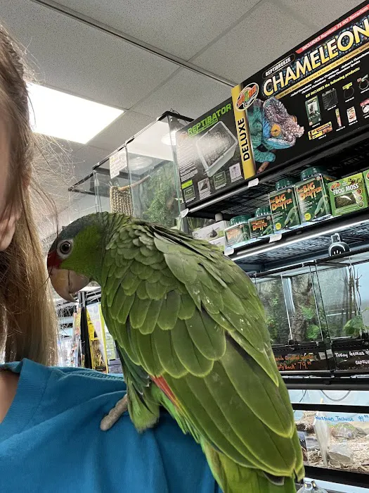 Cat's Critters: Exotic Pets Picture 5