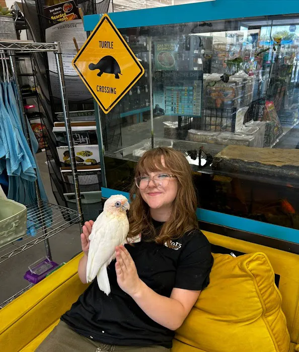 Cat's Critters: Exotic Pets Picture 3